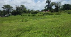 Mayaro 5 Approved lots for Sale $500k each Neg