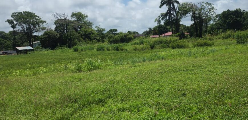 Mayaro 5 Approved lots for Sale $500k each Neg