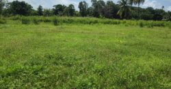 Mayaro 5 Approved lots for Sale $500k each Neg