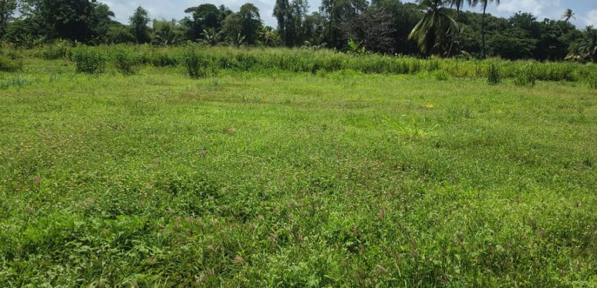 Mayaro 5 Approved lots for Sale $500k each Neg