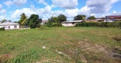 Land for Sale Waterloo Main Road, Freeport $1,820,000