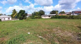 Land for Sale Waterloo Main Road, Freeport $1,820,000