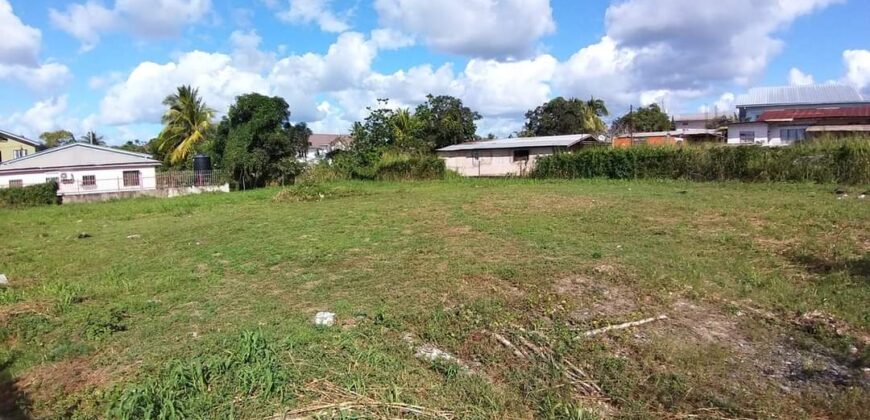 Land for Sale Waterloo Main Road, Freeport $1,820,000