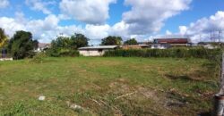 Land for Sale Waterloo Main Road, Freeport $1,820,000