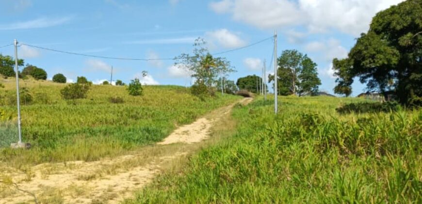 2 Bedroom  Property on 5 Acre Parcel of Land, Freeport. $1,000,000.00