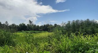 2 Acre Parcels of Land for Sale $350,000 each parcel