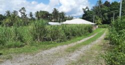 Land for Sale 2 1/2 lots  $350,000  Ramkalia Trace off Calcutta Road # 2