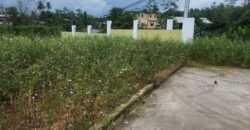 Gated development land, Cumuto $650,000