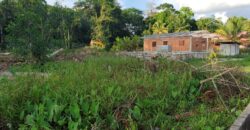 2 Lots of Approved Land for Sale! Sangre Grande $275,000 Each!