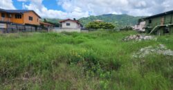 11000 SqFt Land Mt Lambert $1,350,000