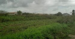 12,784 Sqft Land Bejucal Road $1,000,000 Neg