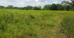 Barrackpore 23 lots of Land for Sale $1,800,000