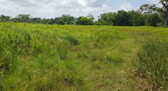 Barrackpore 23 lots of Land for Sale $1,800,000