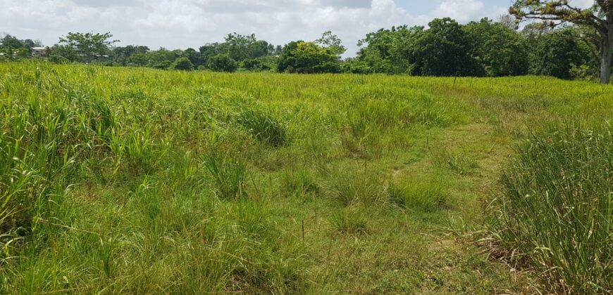 Barrackpore 23 lots of Land for Sale $1,800,000