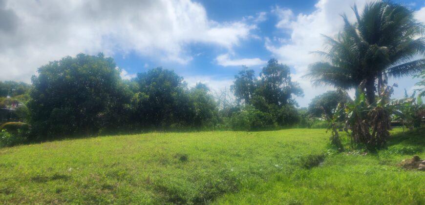 3 1/2 lots Orange Field Main Road $1,200,000