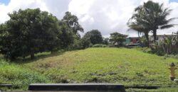 3 1/2 lots Orange Field Main Road $1,200,000