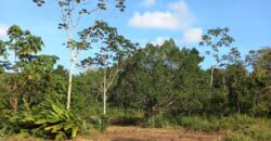 5 Acre Parcel of Land, Freeport $3,000,000