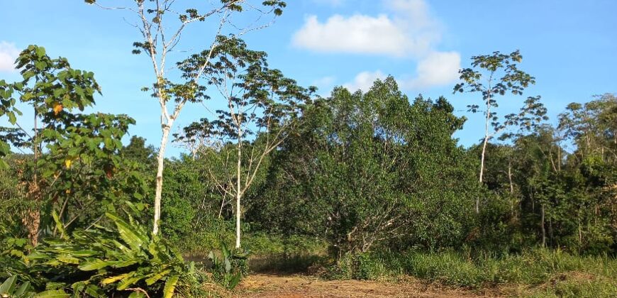 5 Acre Parcel of Land, Freeport $3,000,000