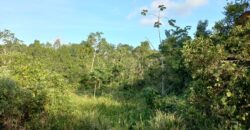 5 Acre Parcel of Land, Freeport $3,000,000