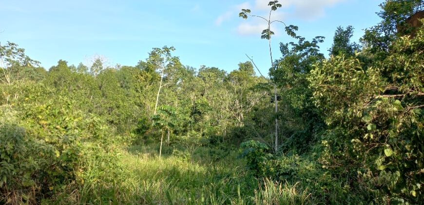 5 Acre Parcel of Land, Freeport $3,000,000