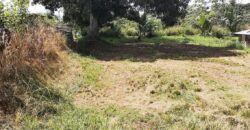 1 Lot of Land for Sale Freeport  $250,000