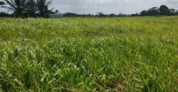 Barrackpore 23 lots of Land for Sale $1,800,000