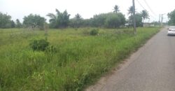 5 Acre Parcel of Land Warren Main Road $8,000,000