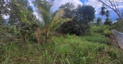 4 1/2 Lots for Sale Arena Main Road $1,200,000