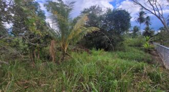 4 1/2 Lots for Sale Arena Main Road $1,200,000