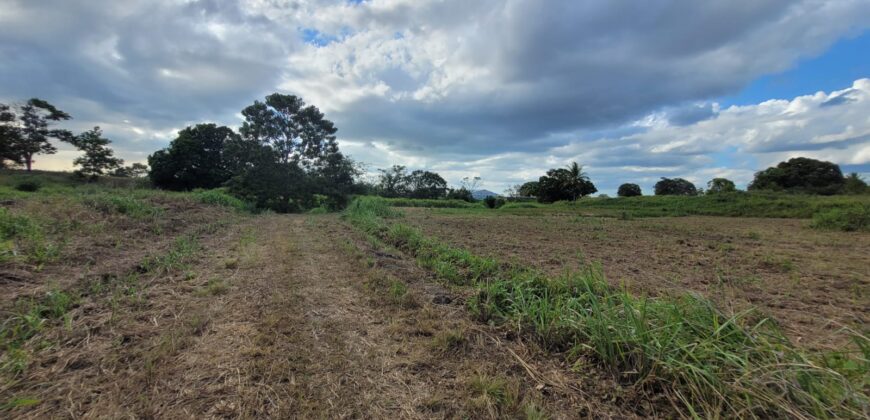 11 lots of Land for Sale, Mission Road, Freeport $300,000 each lot