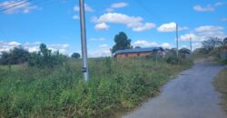 11 lots of Land for Sale, Mission Road, Freeport $300,000 each lot