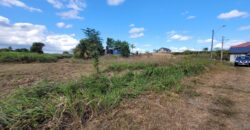 11 lots of Land for Sale, Mission Road, Freeport $300,000 each lot