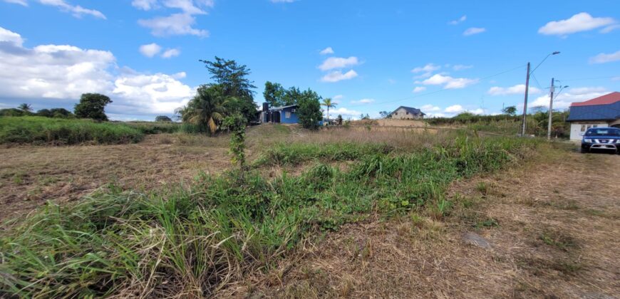 11 lots of Land for Sale, Mission Road, Freeport $300,000 each lot