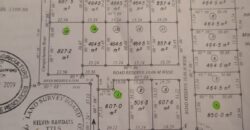 11 lots of Land for Sale, Mission Road, Freeport $300,000 each lot