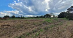 11 lots of Land for Sale, Mission Road, Freeport $300,000 each lot