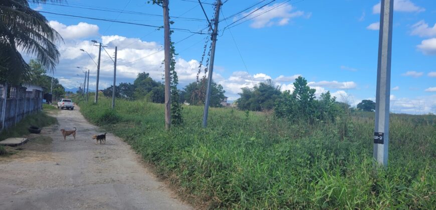 11 lots of Land for Sale, Mission Road, Freeport $300,000 each lot