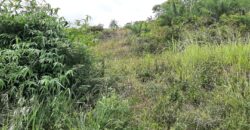 Anastazia Circular, Arouca 10,400 sqft Land for Sale $1,100,000