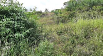 Anastazia Circular, Arouca 10,400 sqft Land for Sale $1,100,000