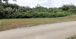 4.35 Acres Freehold Land In Coalmine, Sangre Grande $2,100,000