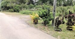 4.35 Acres Freehold Land In Coalmine, Sangre Grande $2,100,000