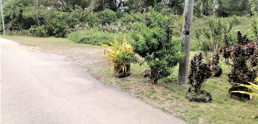 4.35 Acres Freehold Land In Coalmine, Sangre Grande $2,100,000