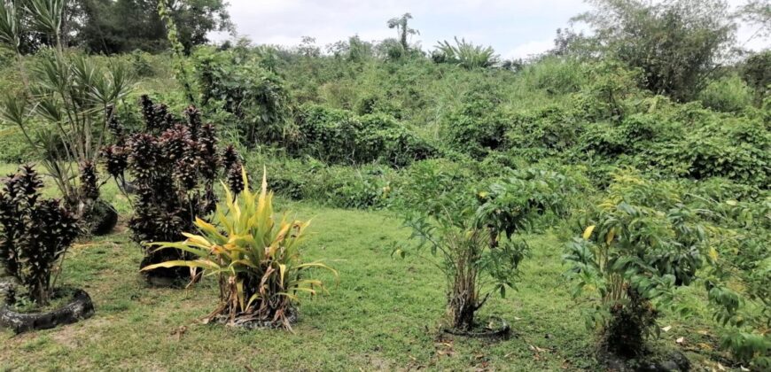 4.35 Acres Freehold Land In Coalmine, Sangre Grande $2,100,000