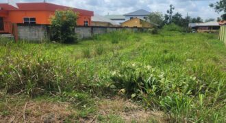 12037sqft of Land for Sale in Cunupia $700,000