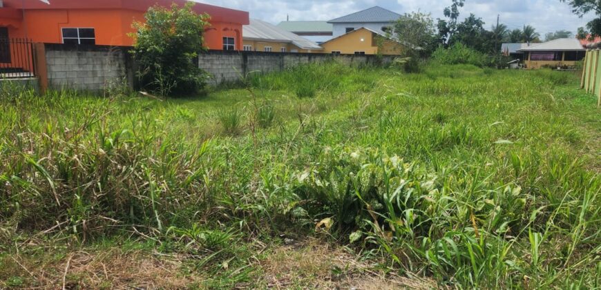 12037sqft of Land for Sale in Cunupia $700,000