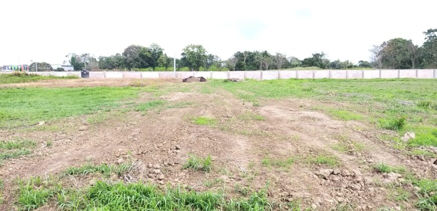 1 Acre Residential Development, Longdenville   $3,500,000