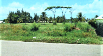 24,386 S/F Plot – Tobago Plantations, Lowlands Tobago $2,400,000.00