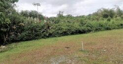 4.35 Acres Freehold Land In Coalmine, Sangre Grande $2,100,000