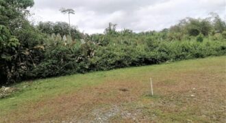 4.35 Acres Freehold Land In Coalmine, Sangre Grande $2,100,000