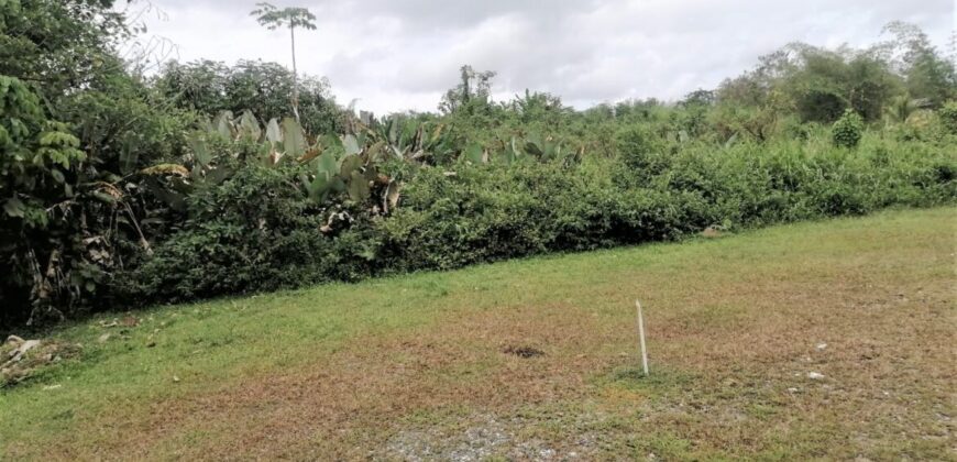 4.35 Acres Freehold Land In Coalmine, Sangre Grande $2,100,000