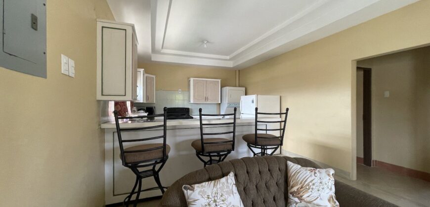 Fully Furnished 2 Bedroom Apartment for Rent $5000.00